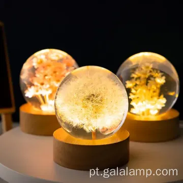 Luz noturna eterna da flor